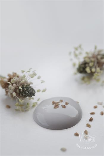 vintage paint soft grey