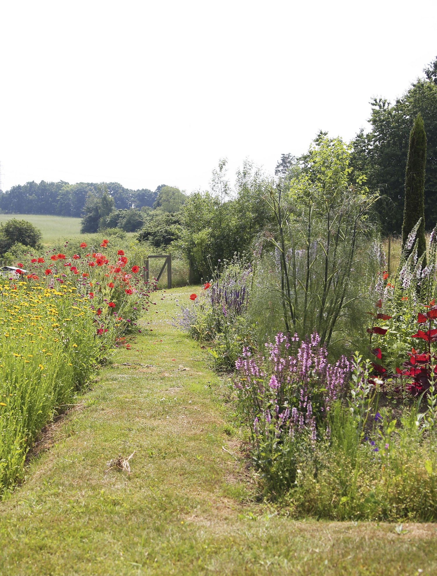 jdl sisustuslehti 5:23 6